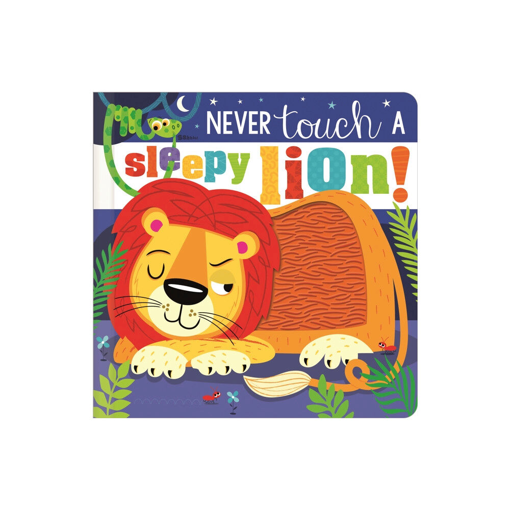 MAKE BELIEVE IDEAS Never Touch a Sleepy Lion! (inbunden, eng)