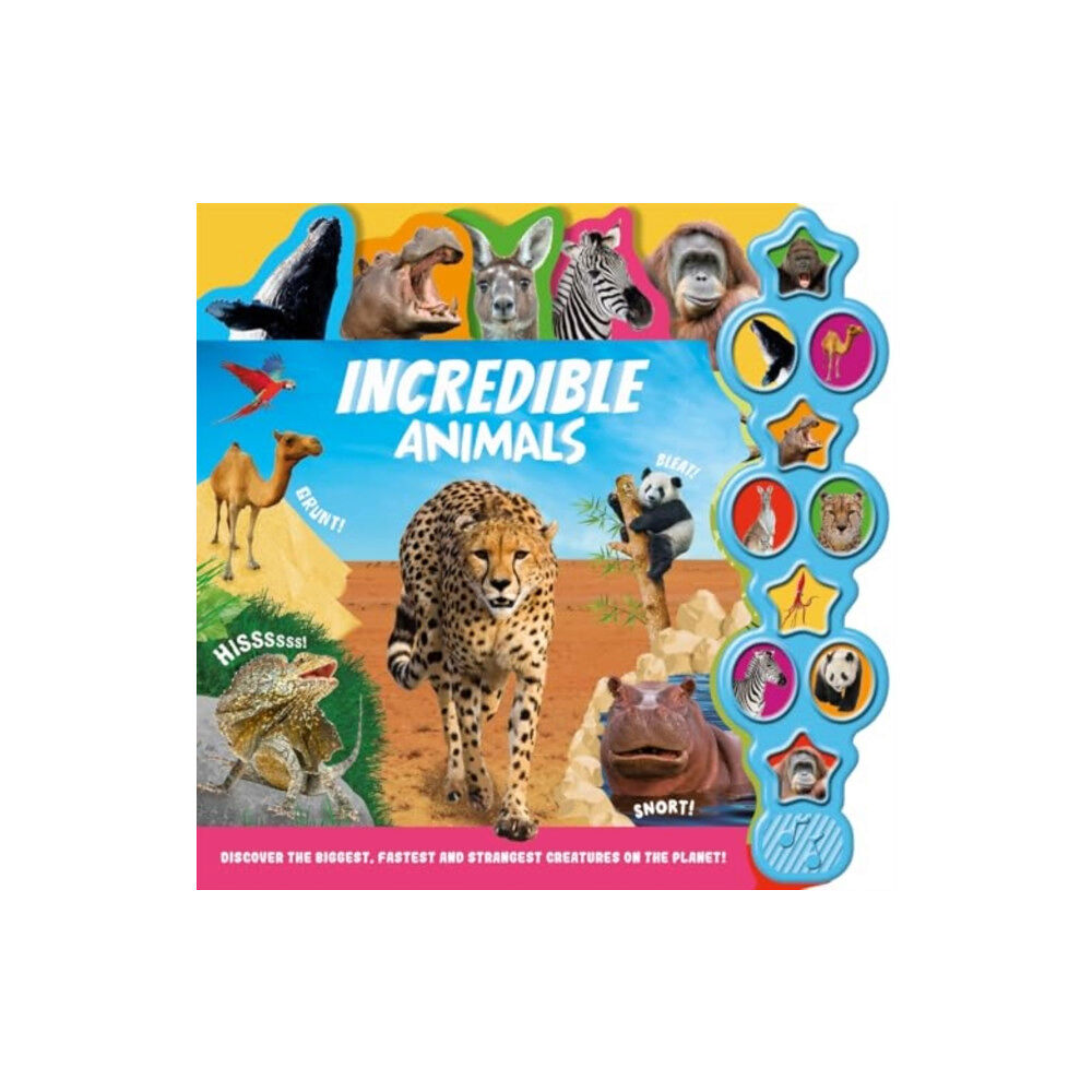 Bonnier Books Ltd Incredible Animals (bok, board book, eng)