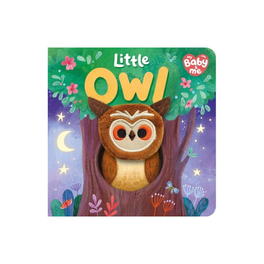 Bonnier Books Ltd Little Owl (bok, board book, eng)