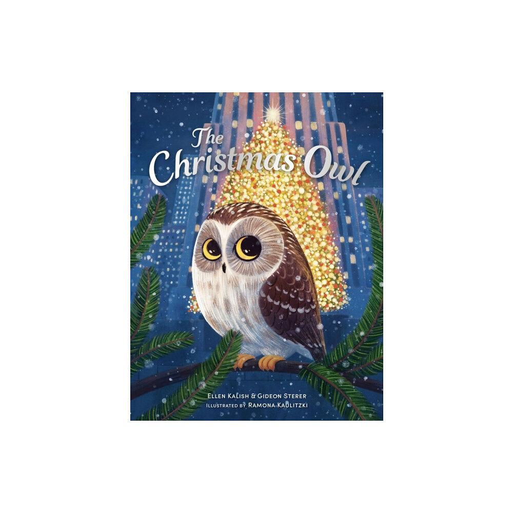 Andersen Press Ltd The Christmas Owl (häftad, eng)