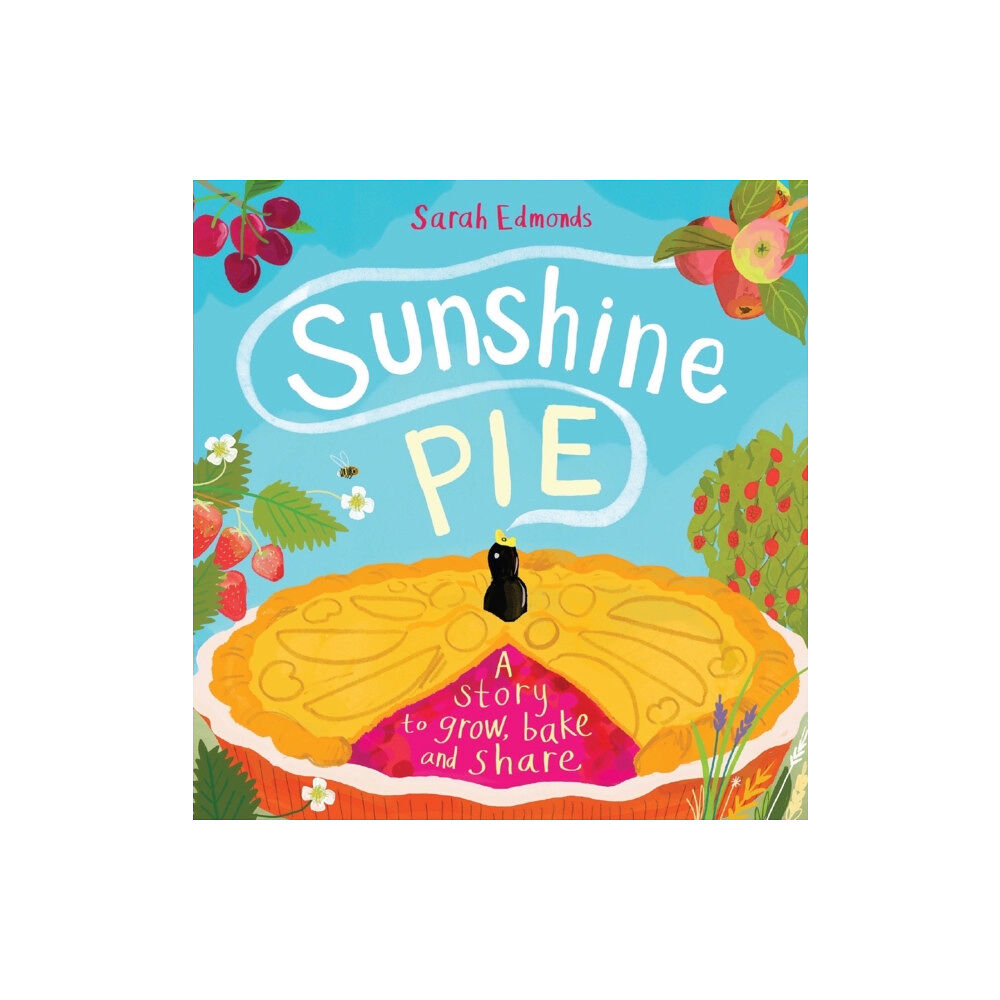 Hachette Children's Group Sunshine Pie (häftad, eng)