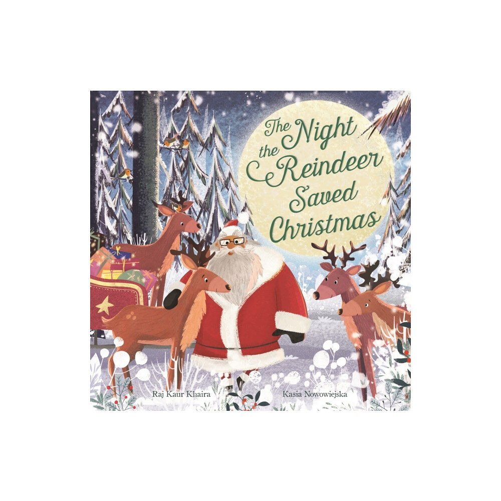 Templar Publishing The Night the Reindeer Saved Christmas (häftad, eng)