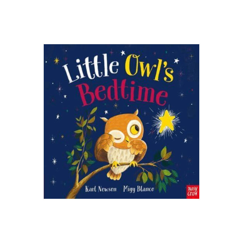 Nosy Crow Ltd Little Owl's Bedtime (häftad, eng)