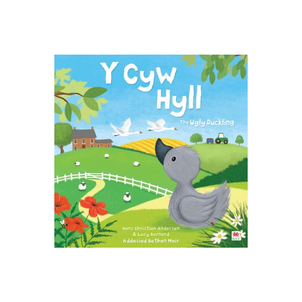 Rily Publications Ltd Y Cyw Hyll / The Ugly Duckling (häftad, eng)