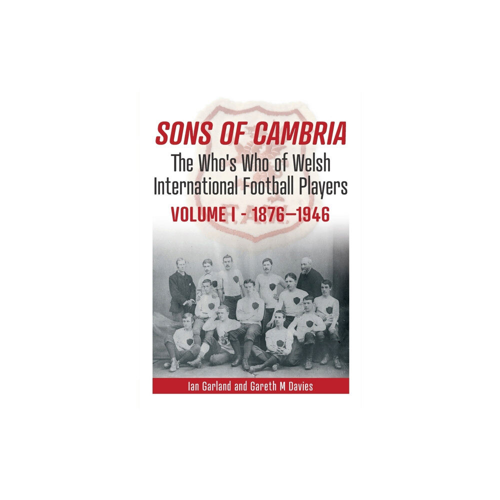 St David's Press Sons of Cambria (häftad, eng)