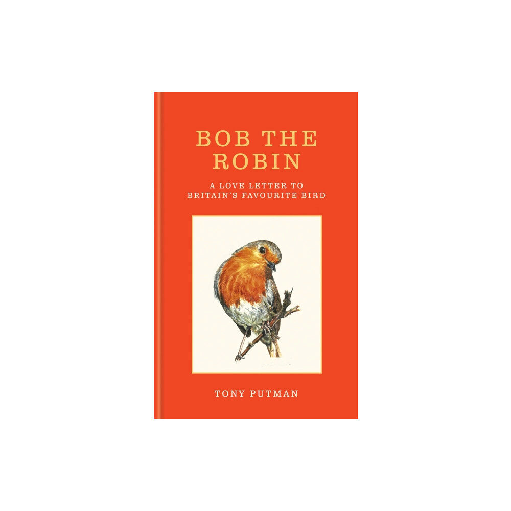 Octopus publishing group Bob the Robin (inbunden, eng)