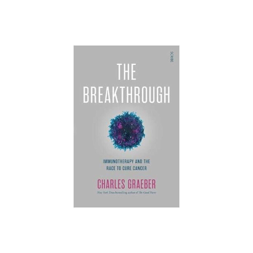 Scribe Publications The Breakthrough (häftad, eng)