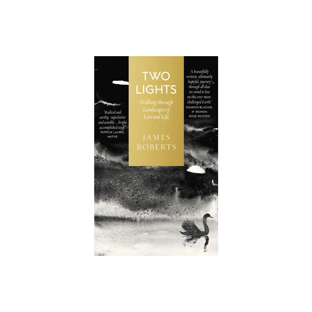 September Publishing Two Lights (inbunden, eng)