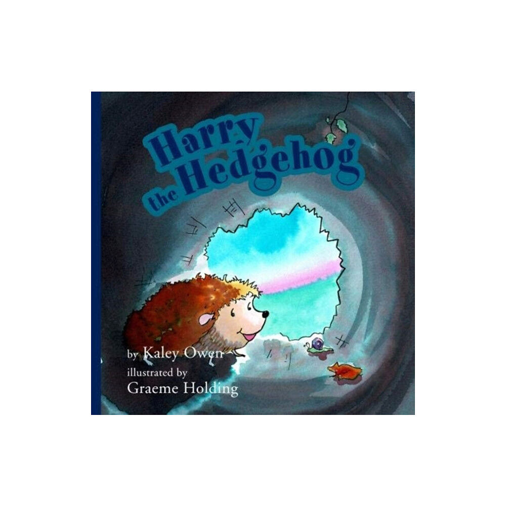 Matthew James Publishing Ltd Harry the Hedgehog (häftad, eng)