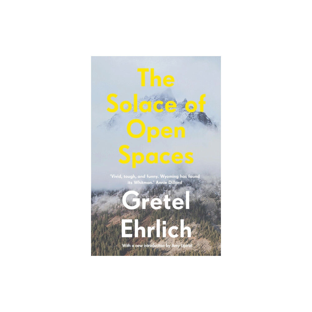 Daunt Books The Solace of Open Spaces (häftad, eng)