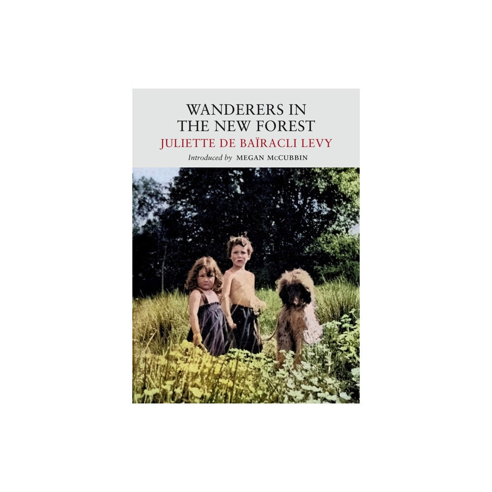 Little Toller Books Wanderers in the New Forest (häftad, eng)