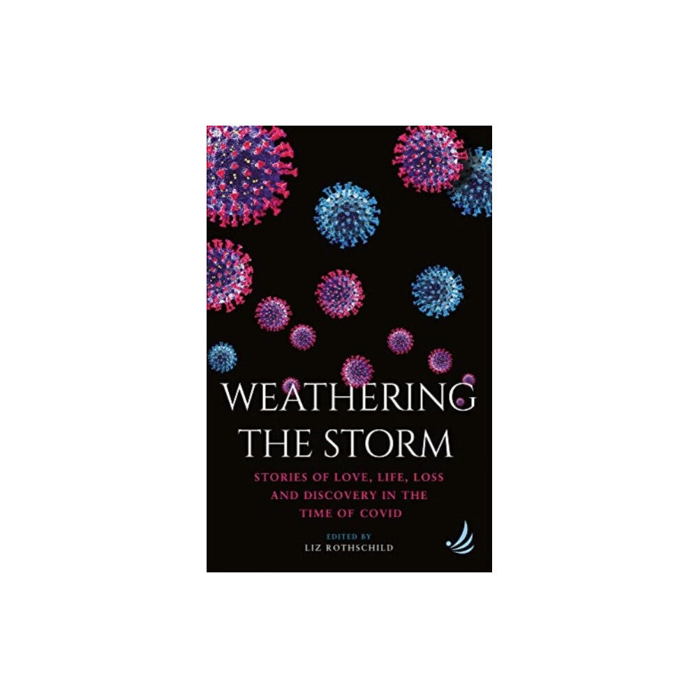 PCCS Books Weathering the Storm (häftad, eng)