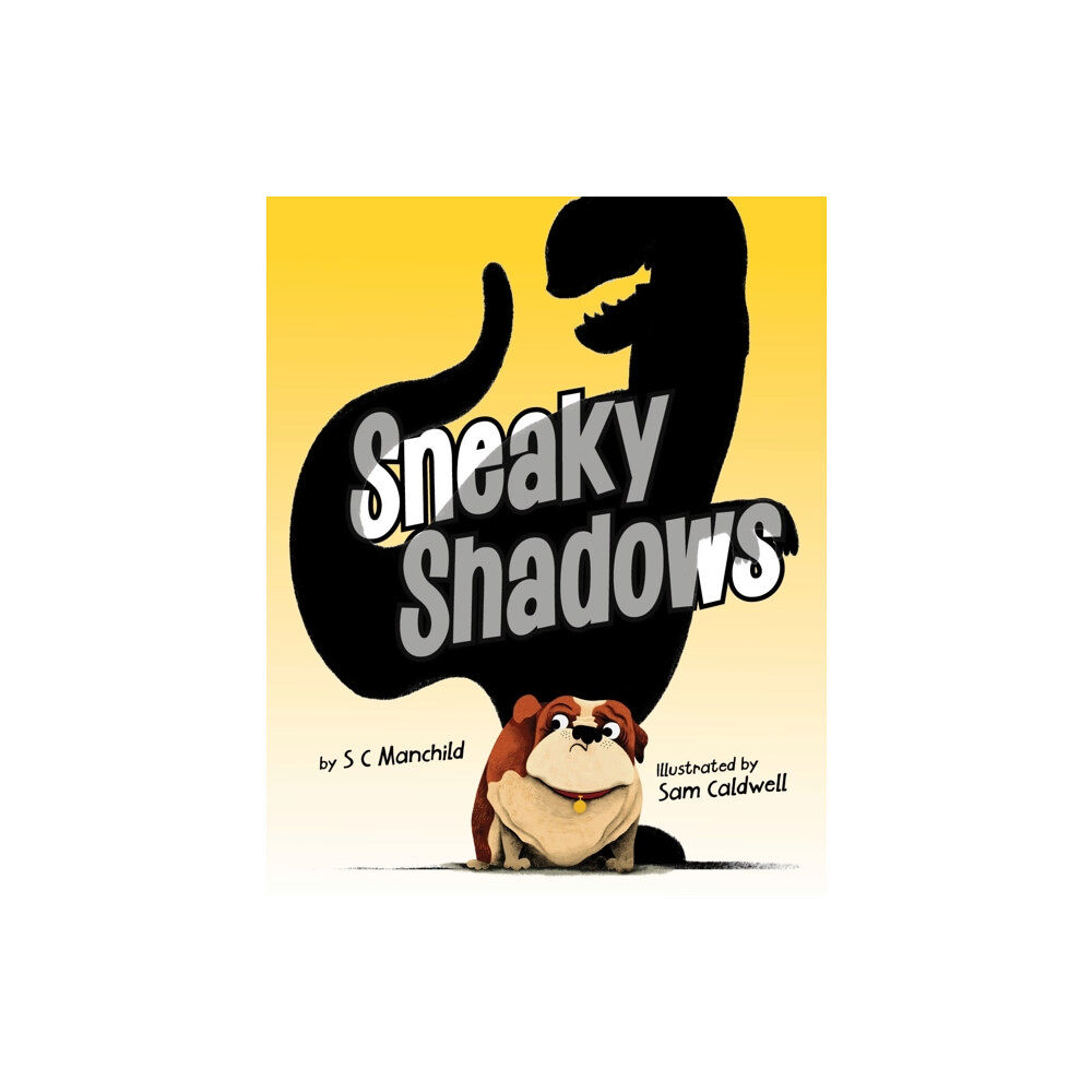 Berbay Publishing Sneaky Shadows (inbunden, eng)