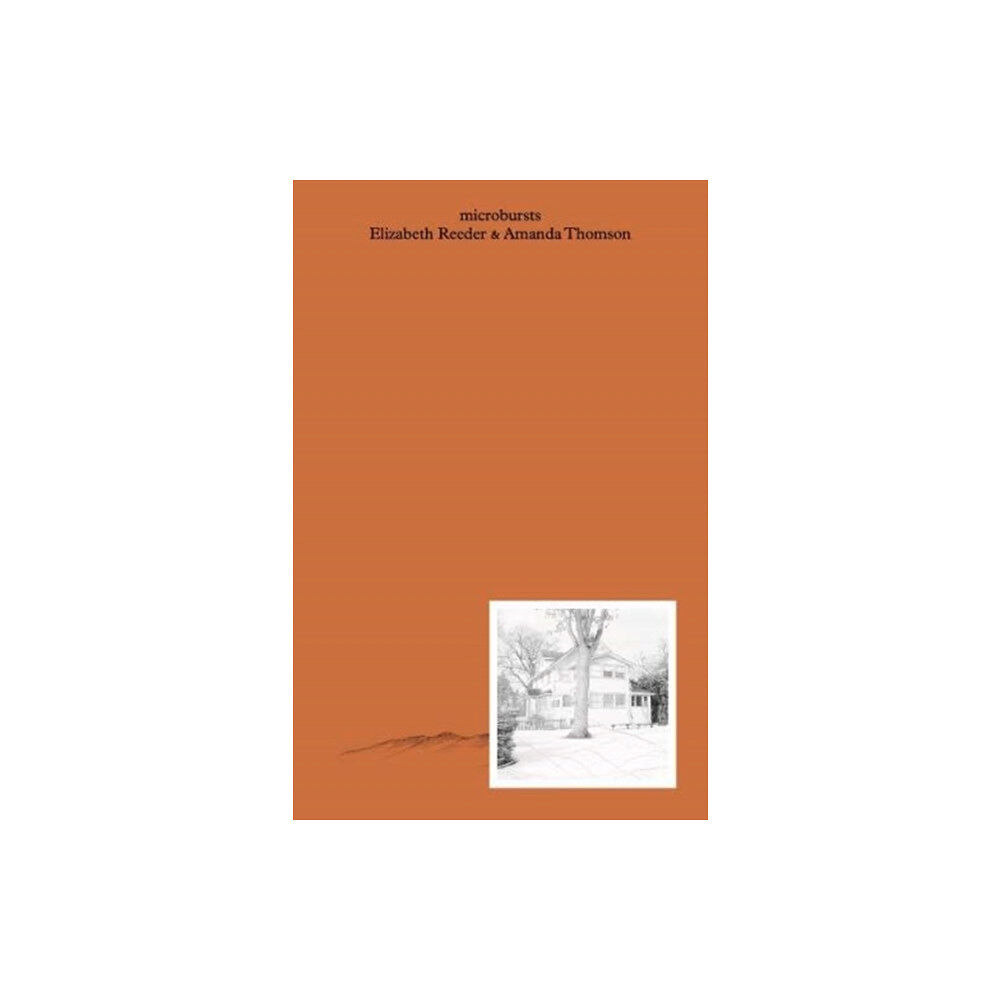 Prototype Publishing Ltd. microbursts (häftad, eng)
