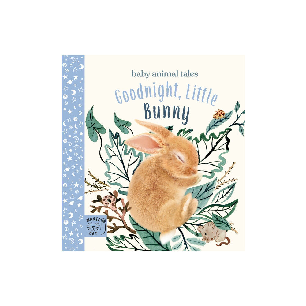 Magic Cat Publishing Goodnight, Little Bunny (bok, board book, eng)