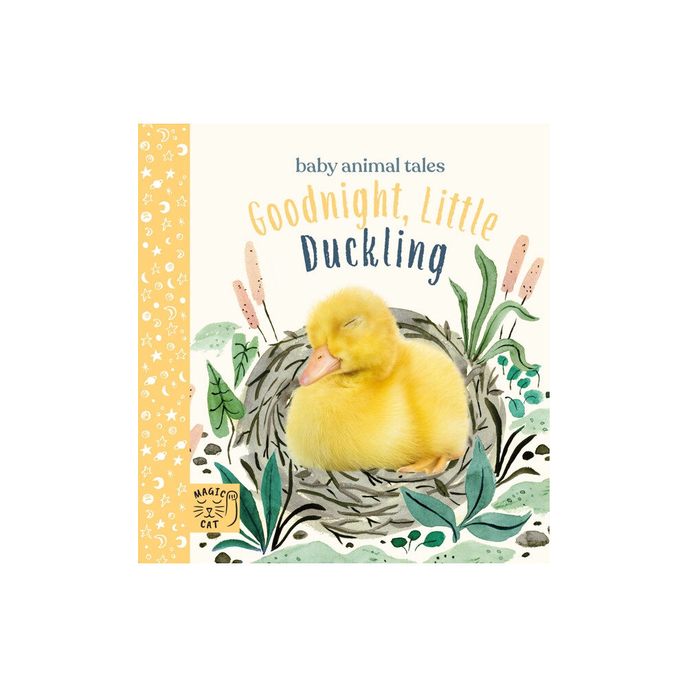 Magic Cat Publishing Goodnight, Little Duckling (bok, board book, eng)