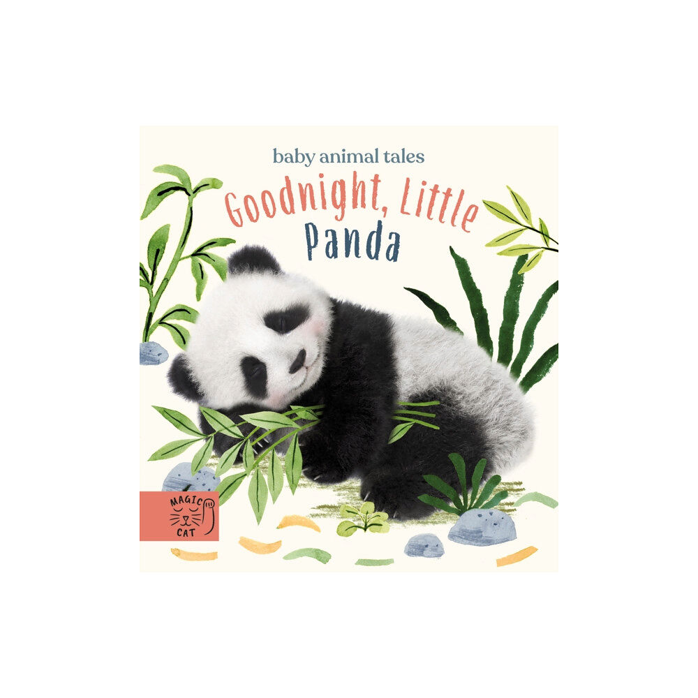 Magic Cat Publishing Goodnight, Little Panda (bok, board book, eng)