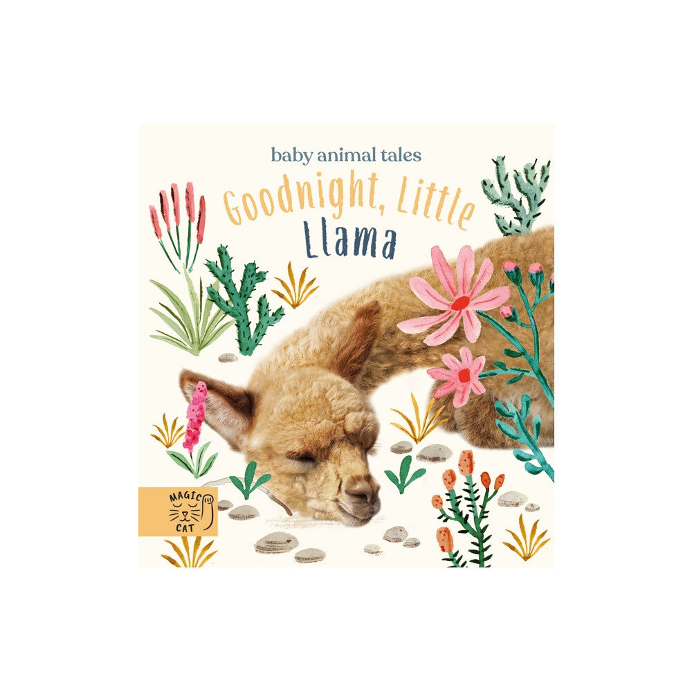 Magic Cat Publishing Goodnight, Little Llama (inbunden, eng)