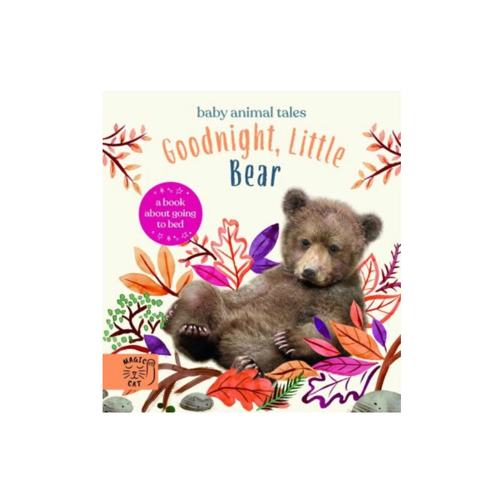 Magic Cat Publishing Goodnight, Little Bear (inbunden, eng)