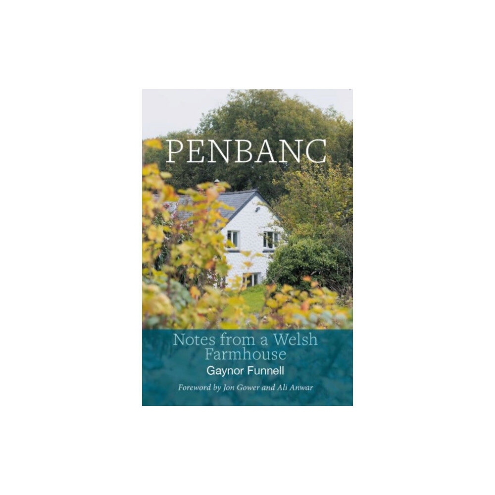 The Hmm Foundation Penbanc - Notes from a Welsh Farmhouse (häftad, eng)