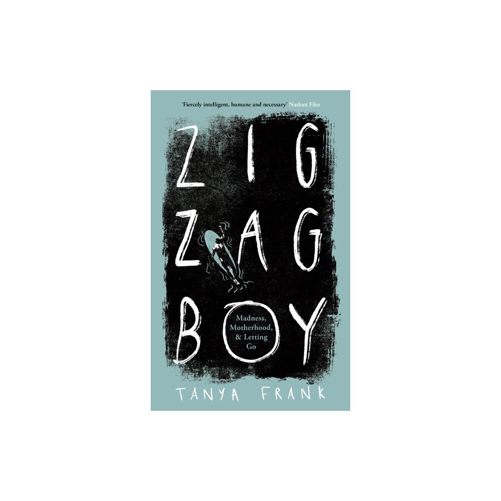 HarperCollins Publishers Zig-Zag Boy (inbunden, eng)