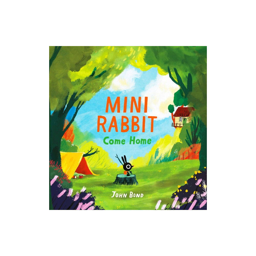HarperCollins Publishers Mini Rabbit Come Home (häftad, eng)
