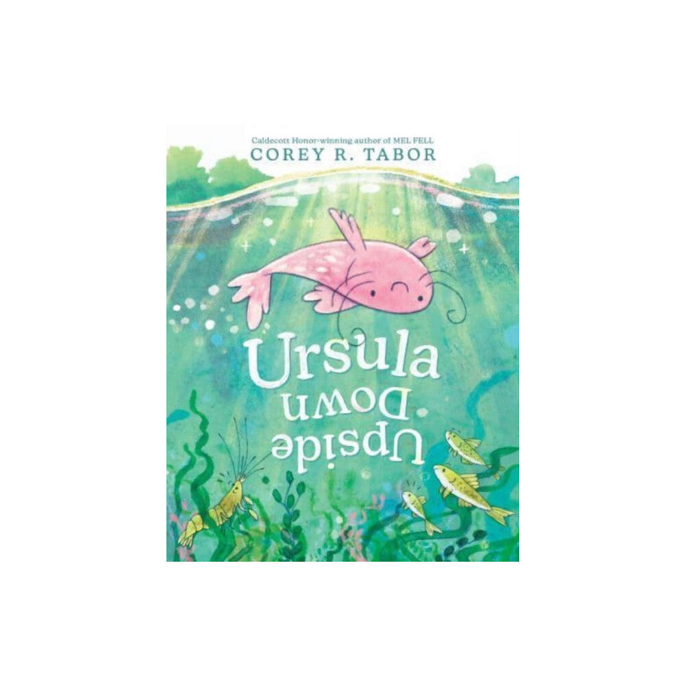 Harpercollins publishers inc Ursula Upside Down (inbunden, eng)