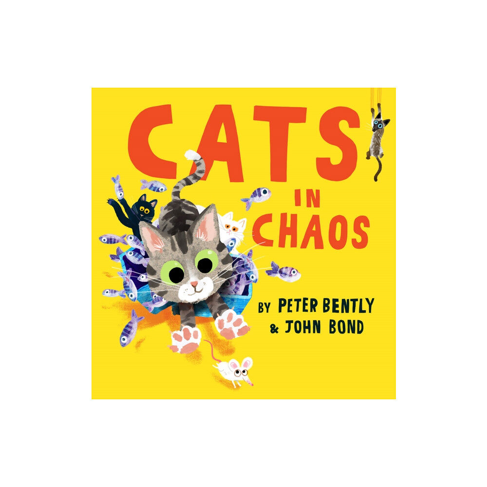 HarperCollins Publishers Cats in Chaos (häftad, eng)
