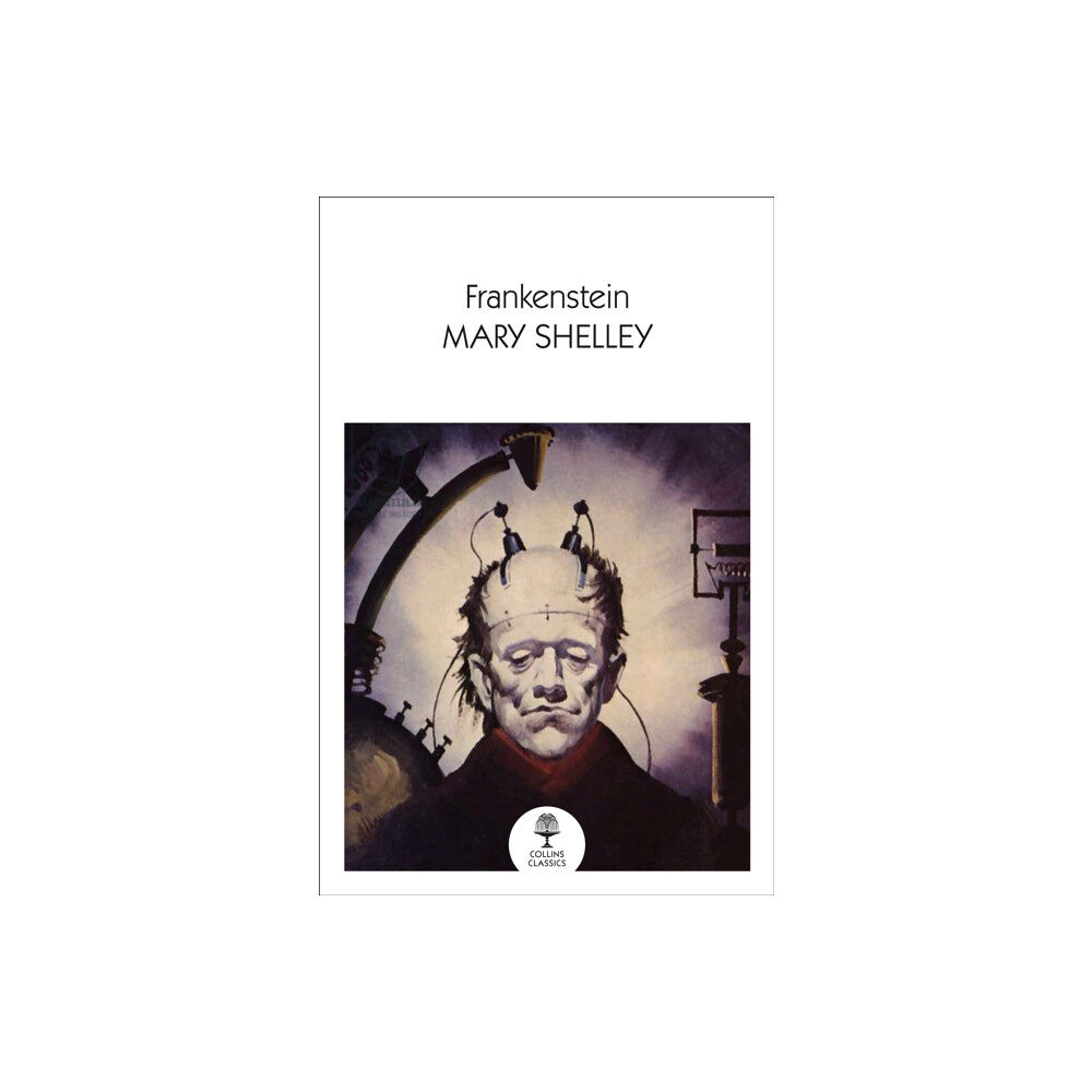 HarperCollins Publishers Frankenstein (häftad, eng)