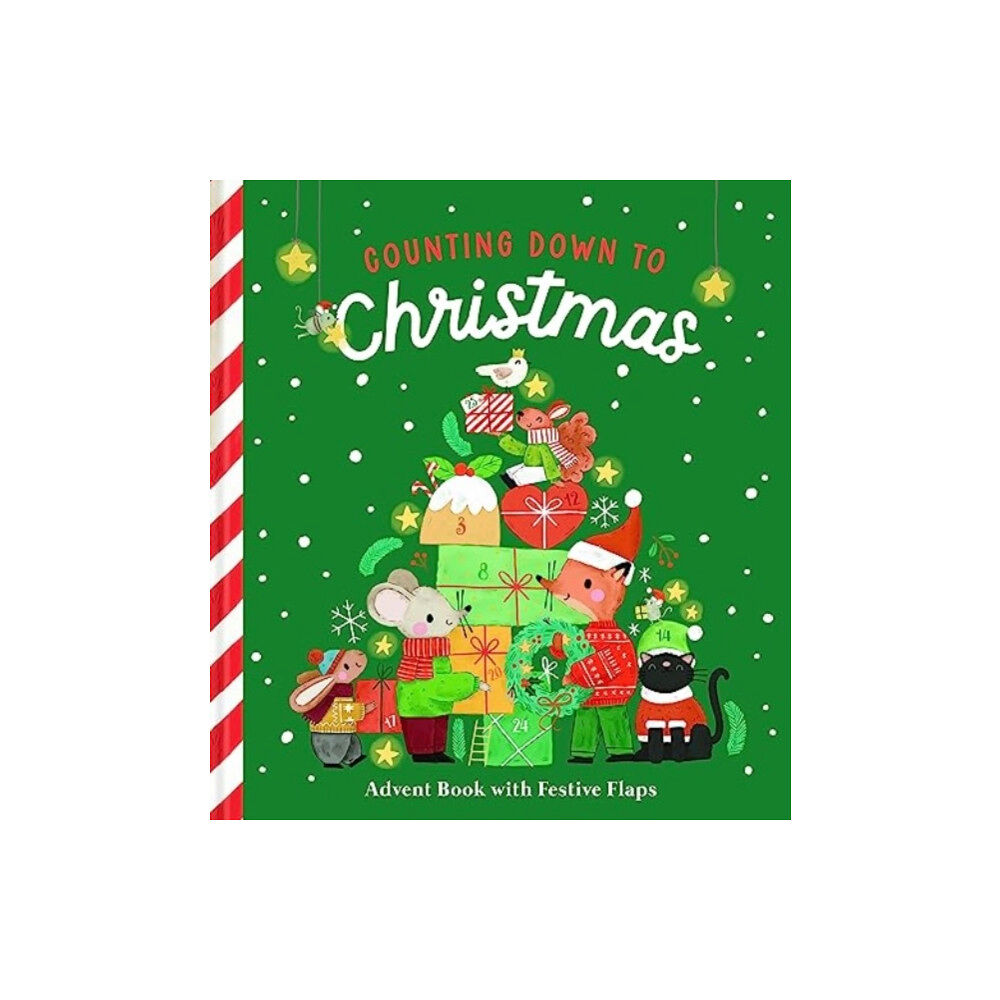 Yoyo Books Counting Down to Christmas (bok, board book, eng)