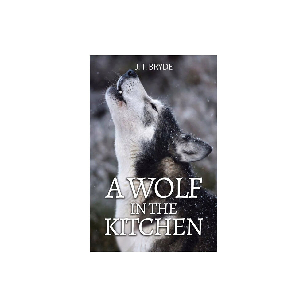 Austin Macauley Publishers A Wolf in the Kitchen (häftad, eng)