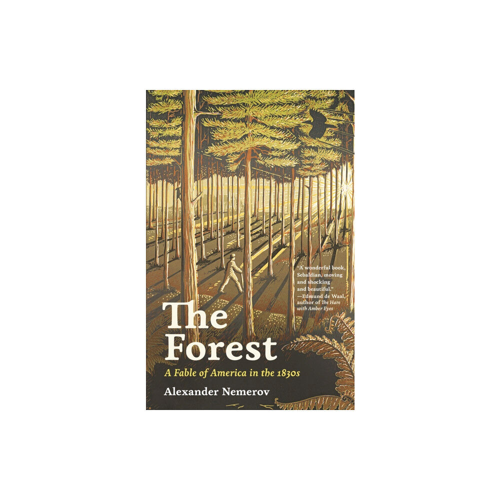 Princeton University Press The Forest (häftad, eng)