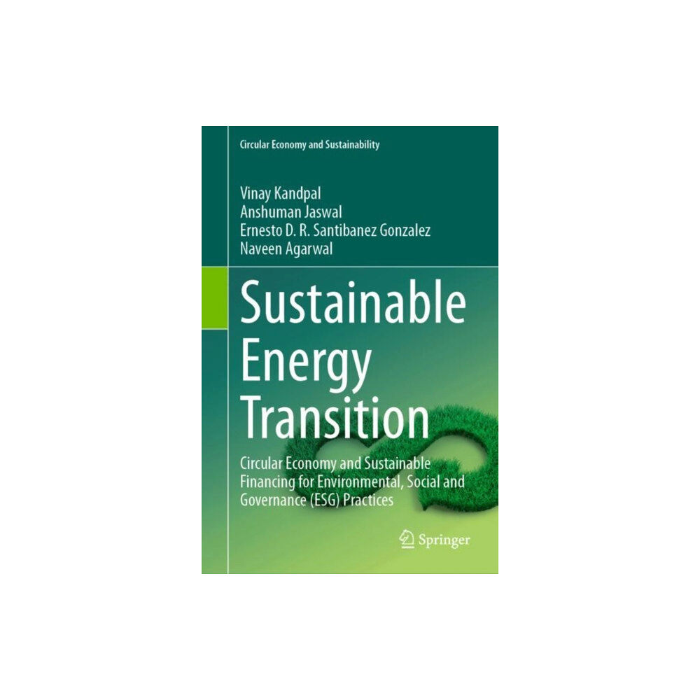 Springer International Publishing AG Sustainable Energy Transition (inbunden, eng)