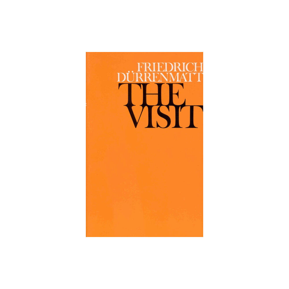 Vintage Publishing The Visit (häftad, eng)