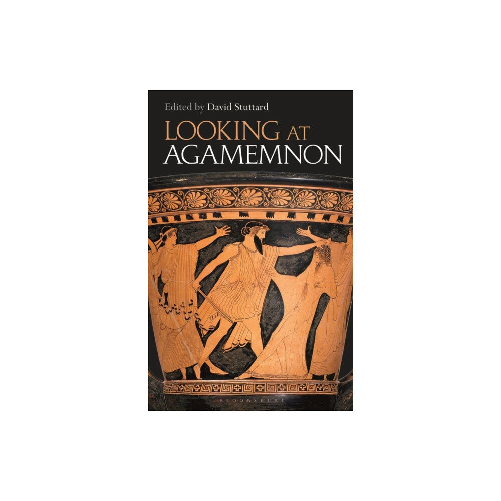 Bloomsbury Publishing PLC Looking at Agamemnon (häftad, eng)