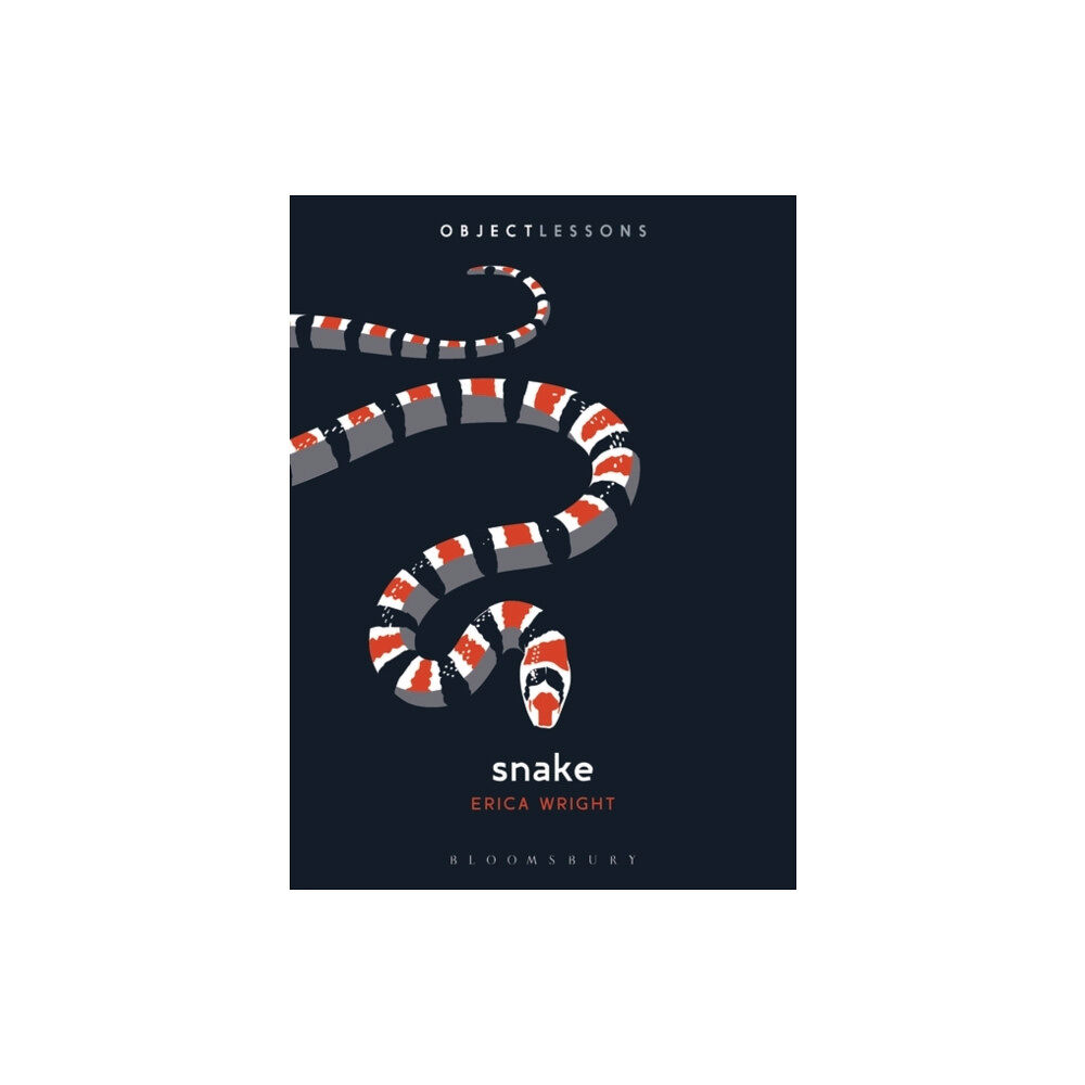 Bloomsbury Publishing PLC Snake (häftad, eng)