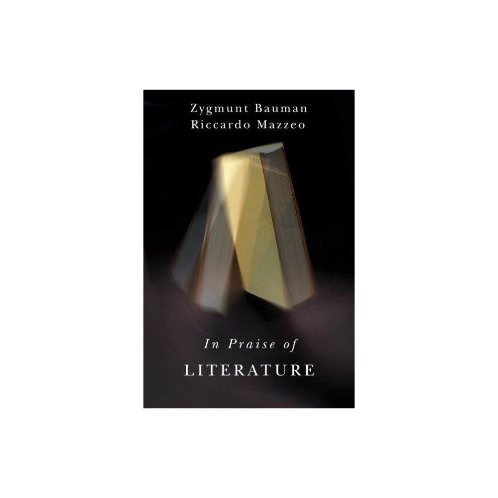 John Wiley And Sons Ltd In Praise of Literature (häftad, eng)