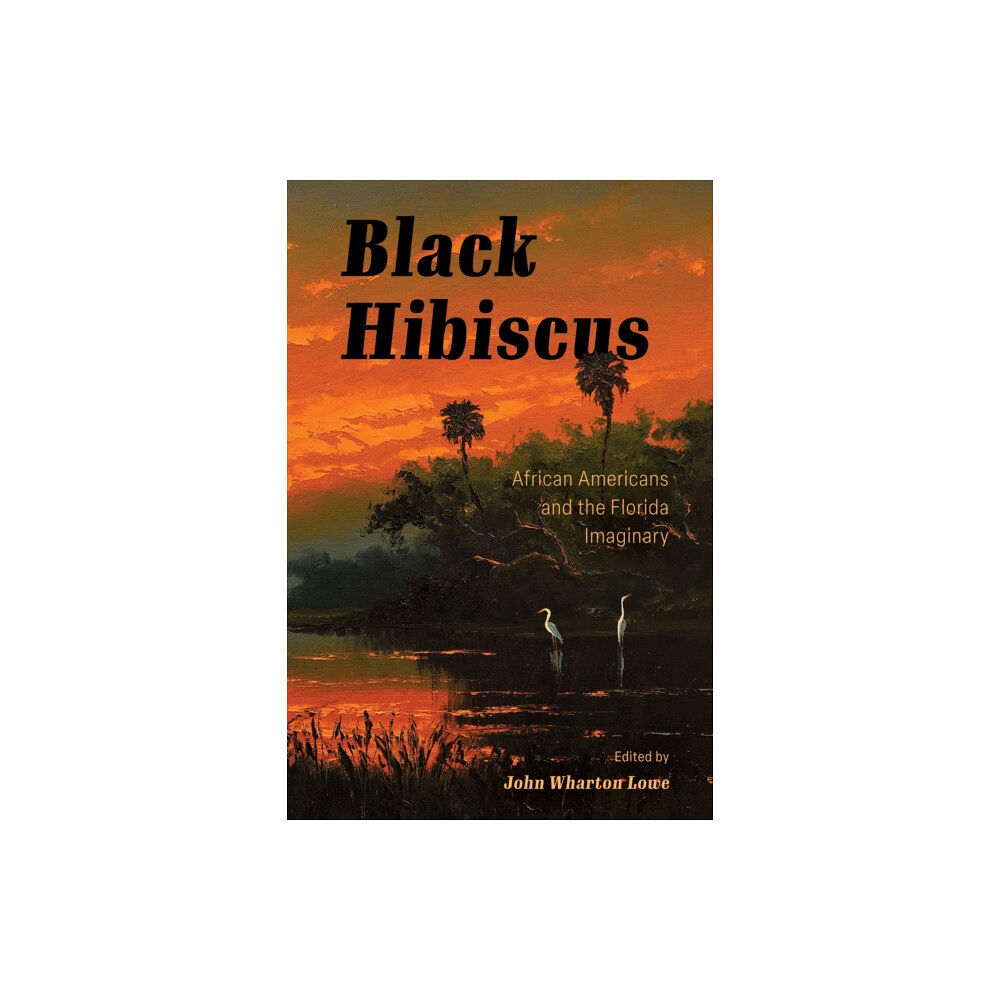 University Press of Mississippi Black Hibiscus (häftad, eng)