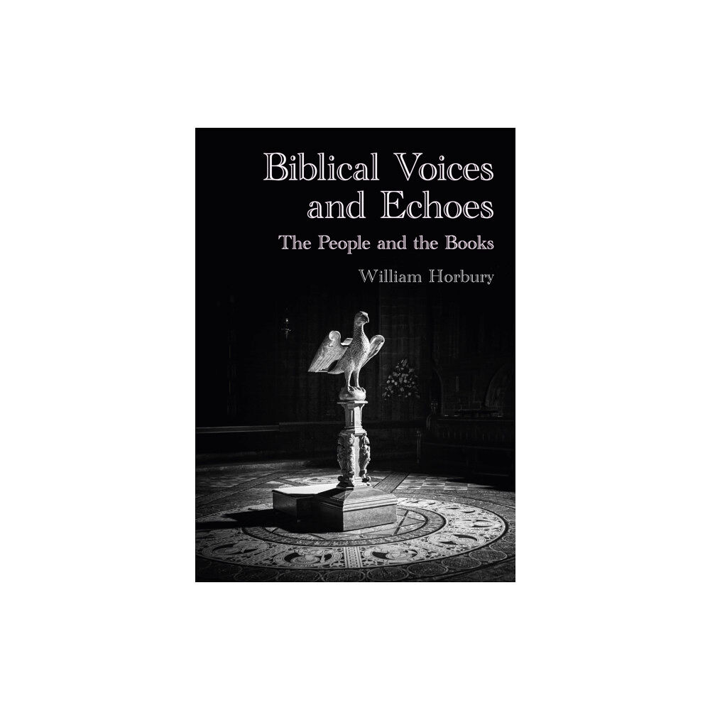 University of Chester Press Biblical Voices and Echoes (häftad, eng)