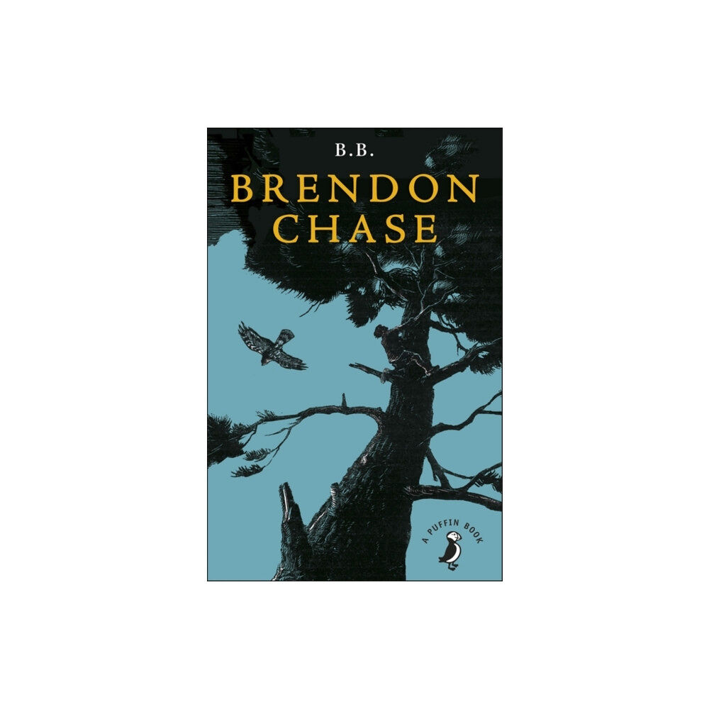 Penguin Random House Children's UK Brendon Chase (häftad, eng)