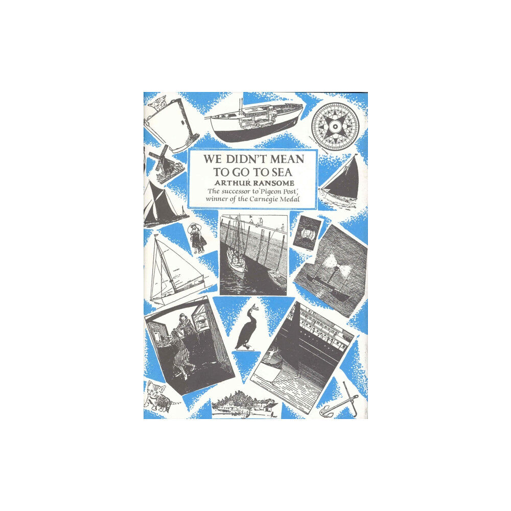 Vintage Publishing We Didn't Mean To Go To Sea (inbunden, eng)