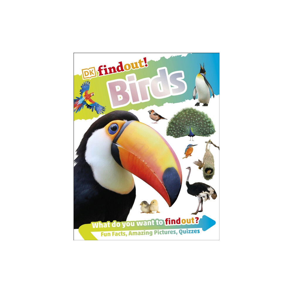 Dorling Kindersley Ltd DKfindout! Birds (häftad, eng)