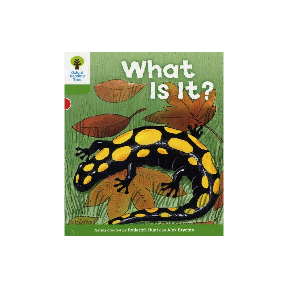 Oxford University Press Oxford Reading Tree: Level 2: More Patterned Stories A: What Is It? (häftad, eng)