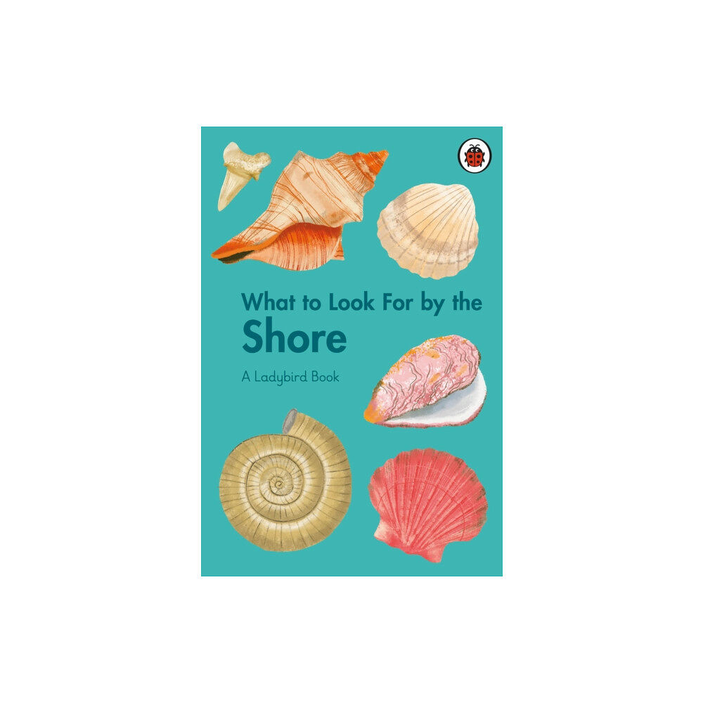 Penguin Random House Children's UK What to Look For by the Shore (inbunden, eng)
