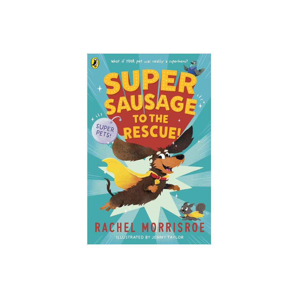 Penguin Random House Children's UK Supersausage to the rescue! (häftad, eng)