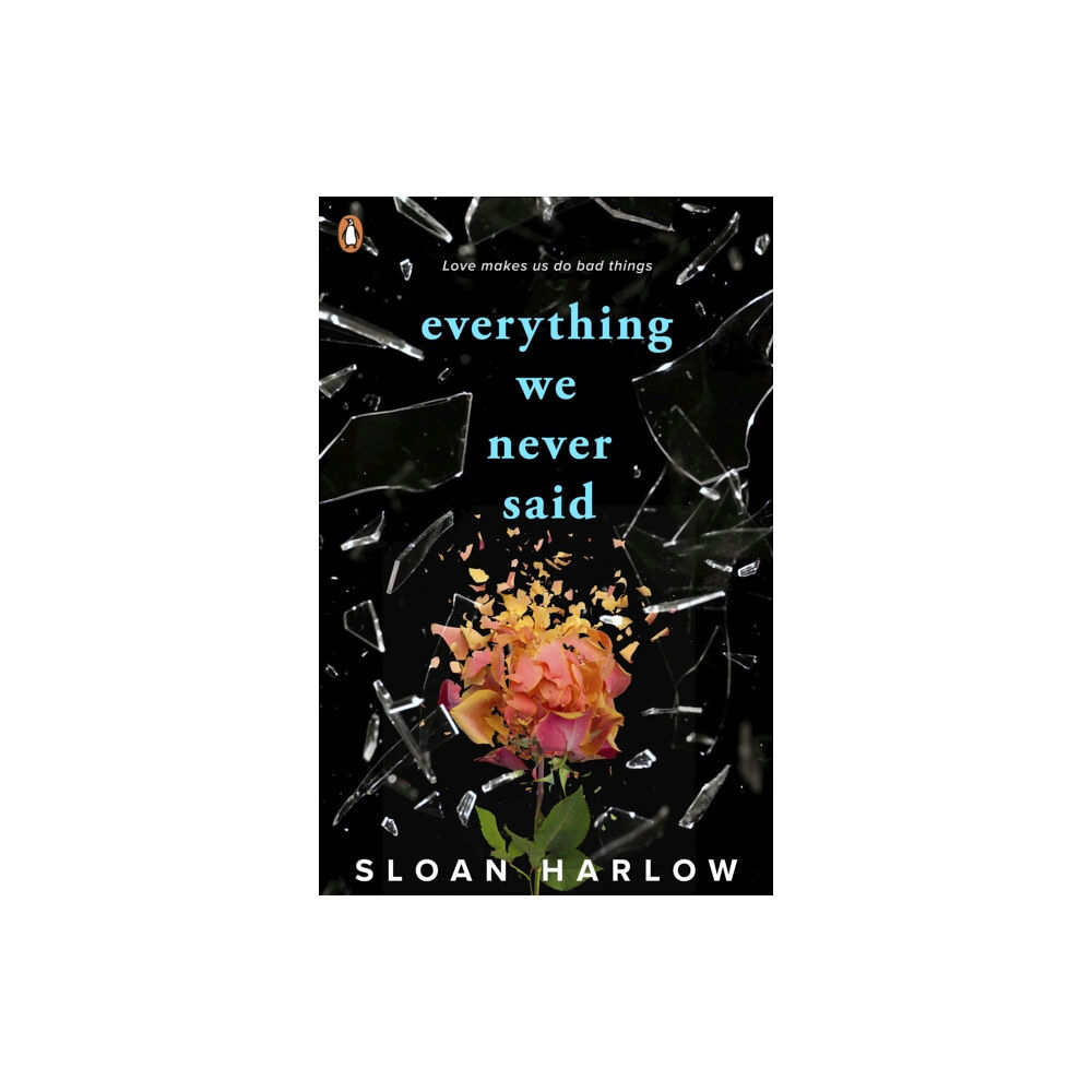 Penguin Random House Children's UK Everything We Never Said (häftad, eng)