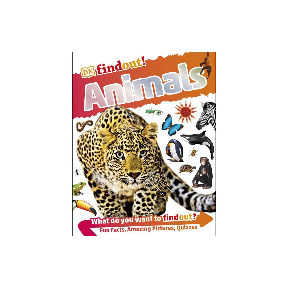 Dorling Kindersley Ltd DKfindout! Animals (häftad, eng)