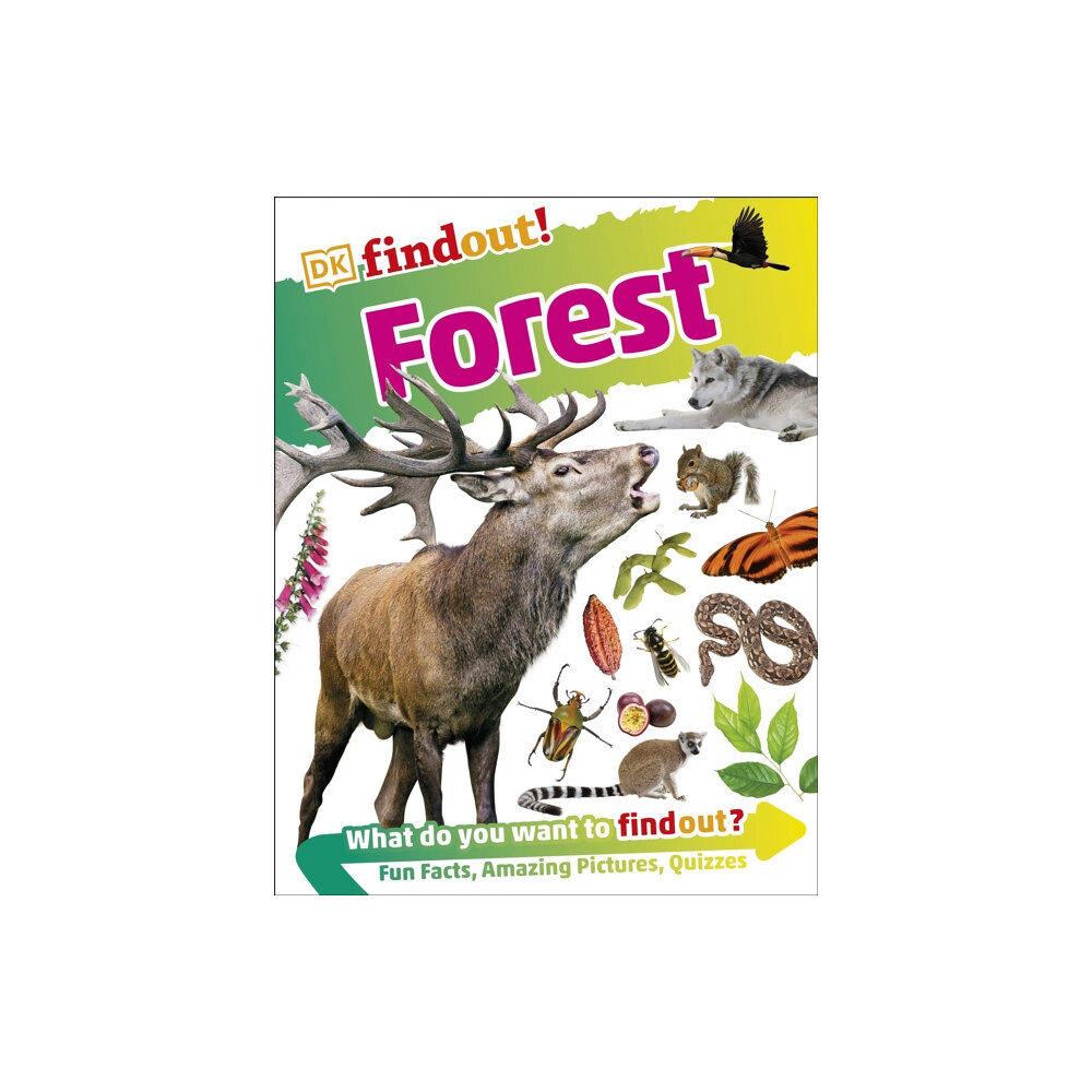 Dorling Kindersley Ltd DKfindout! Forest (häftad, eng)