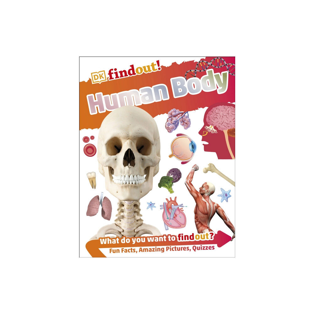 Dorling Kindersley Ltd DKfindout! Human Body (häftad, eng)