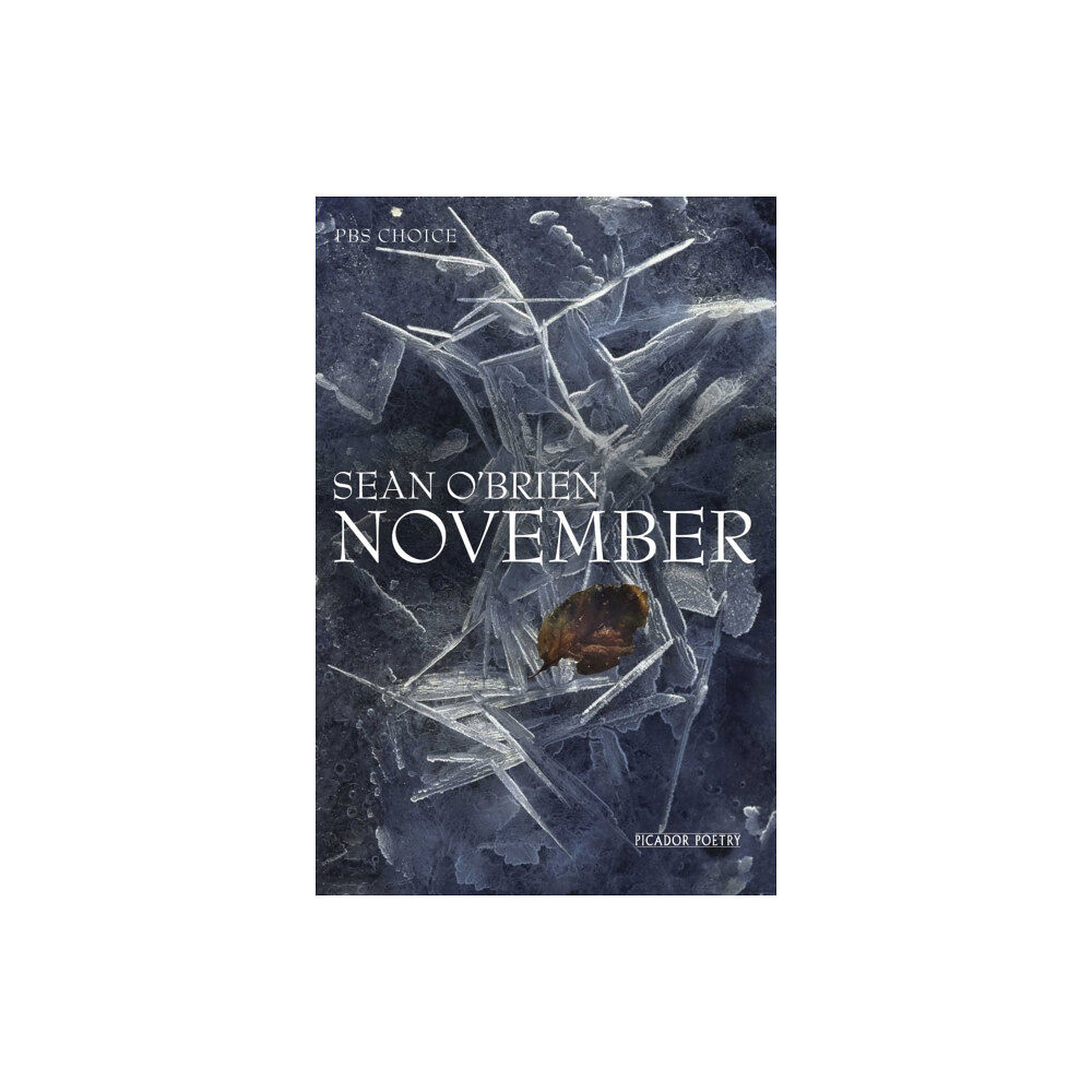 Pan Macmillan November (häftad, eng)